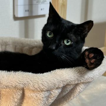 Mari Suzuki profile photo