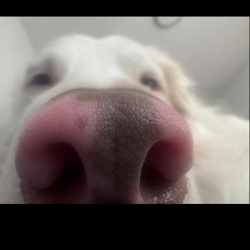 Berta Martinez profile photo