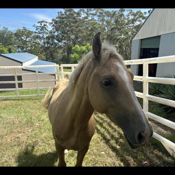 Samantha Hindle profile photo