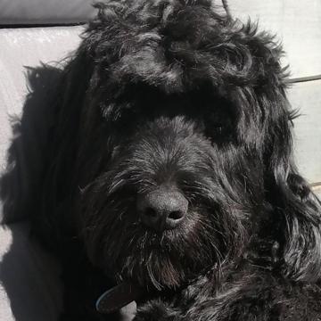 Sacha Clement profile photo