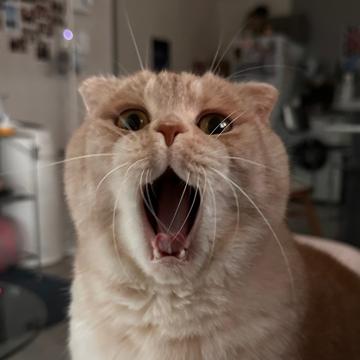 Bang Kim profile photo