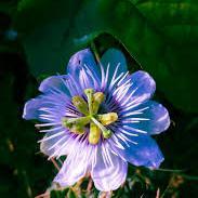 louise tuffy profile photo