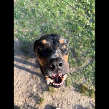 Jonathan Gonzalez profile photo