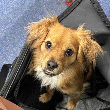 Claudia Lopez Marhuenda profile photo