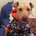 Fiona Briggs profile photo