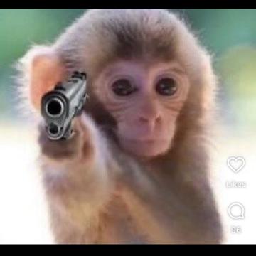 Caitlin Orr profile photo