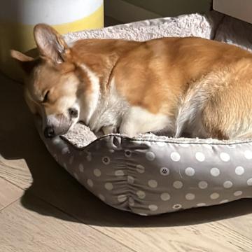 Anastasios Saitanis profile photo