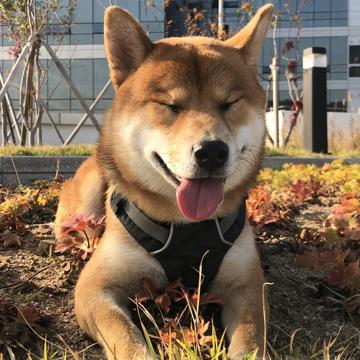 Hyunggyu Choi profile photo