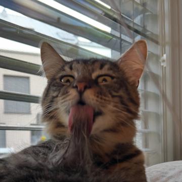 Pit Glodt profile photo