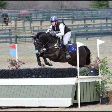 Arianna Almeida profile photo