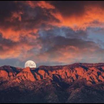 Courtney Marquez profile photo