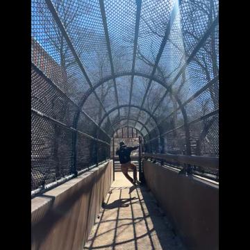 Joshua Waltz profile photo