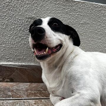 Marcelo Hermann profile photo