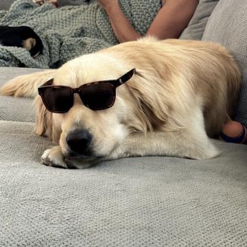 Troy Prather profile photo