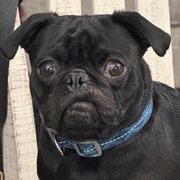 Madison Harris profile photo