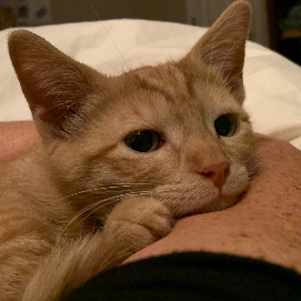 Gaela Stromberg profile photo