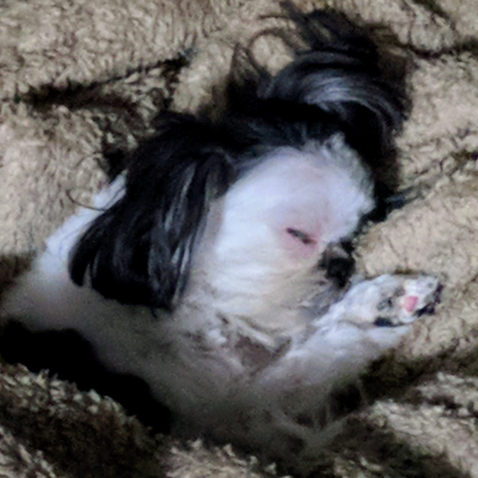 Paul Kuehnert profile photo