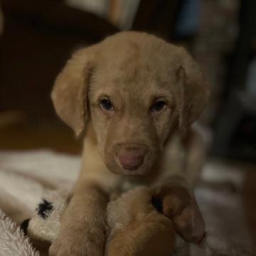 Maria MacDonald profile photo