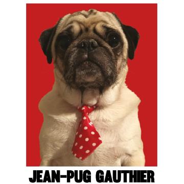 David Sabourin profile photo