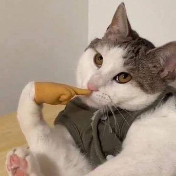 Monthakan Khenhuad profile photo