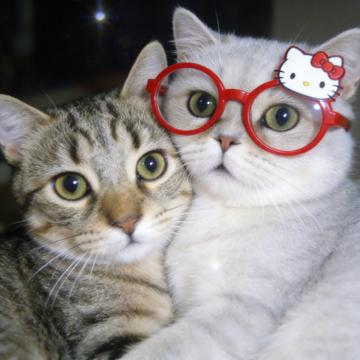 Huang Yujuan profile photo