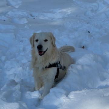 Christina Zagami profile photo