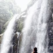 Ngee Ting Lau profile photo