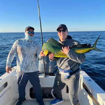 AJ Sambado profile photo