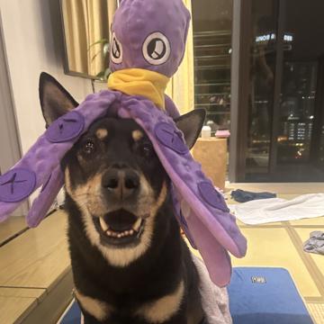 Sze Yan Pui profile photo