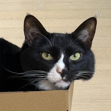 GIM GeonJeong profile photo