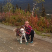 Jentry McWhorter profile photo