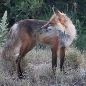 Matt Ewens profile photo