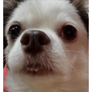 yeyoung Goo profile photo