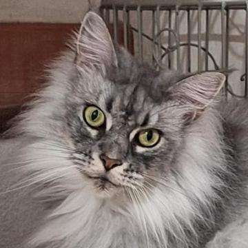 Marina MINTEC profile photo