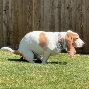 EJ Hein profile photo