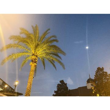 Fathi Mokeddem profile photo