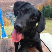 Ashley Lima profile photo