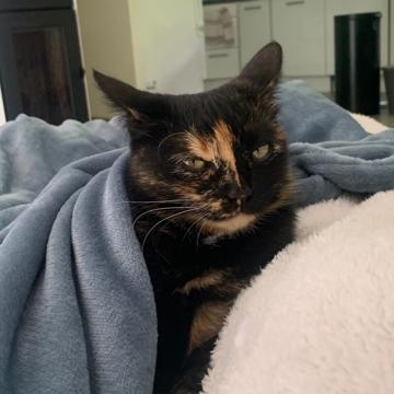 Kim SIDEL profile photo