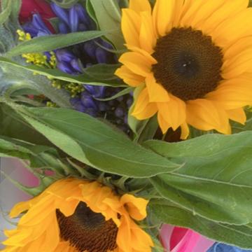 Samantha Watts profile photo