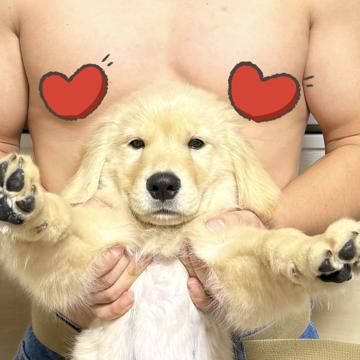 Zhou Yin profile photo