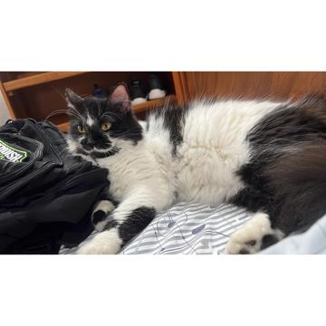 ANDY JARAMILLO profile photo