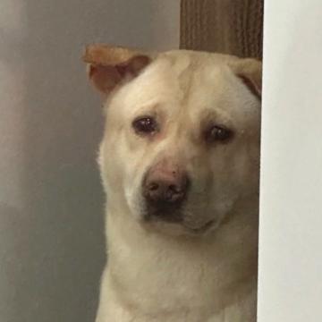 Pun Aramdoung profile photo