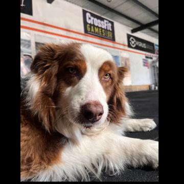 Janet Arriaga profile photo