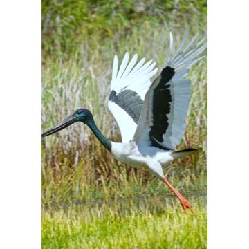 Allan Carter profile photo