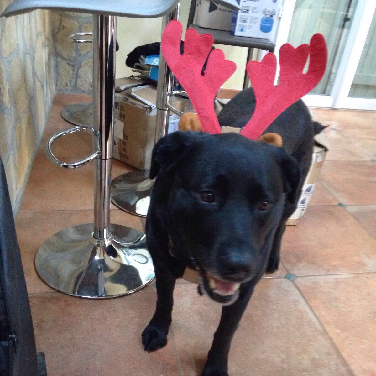 Sébastien Biau profile photo