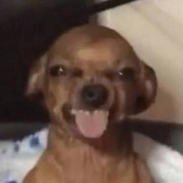 Briana Leonard profile photo