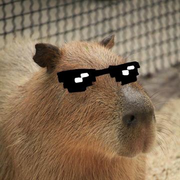 Naomi Lourenco profile photo