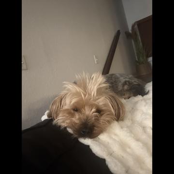 Simon jones profile photo