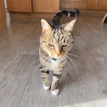 Emma Mañogil profile photo