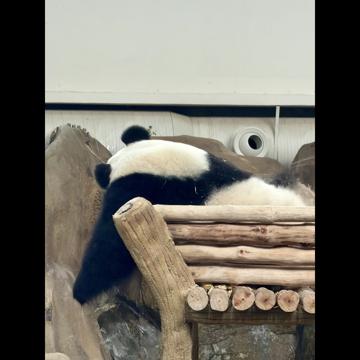 Matthieu MARBOIS profile photo